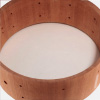 Mahogany Shells